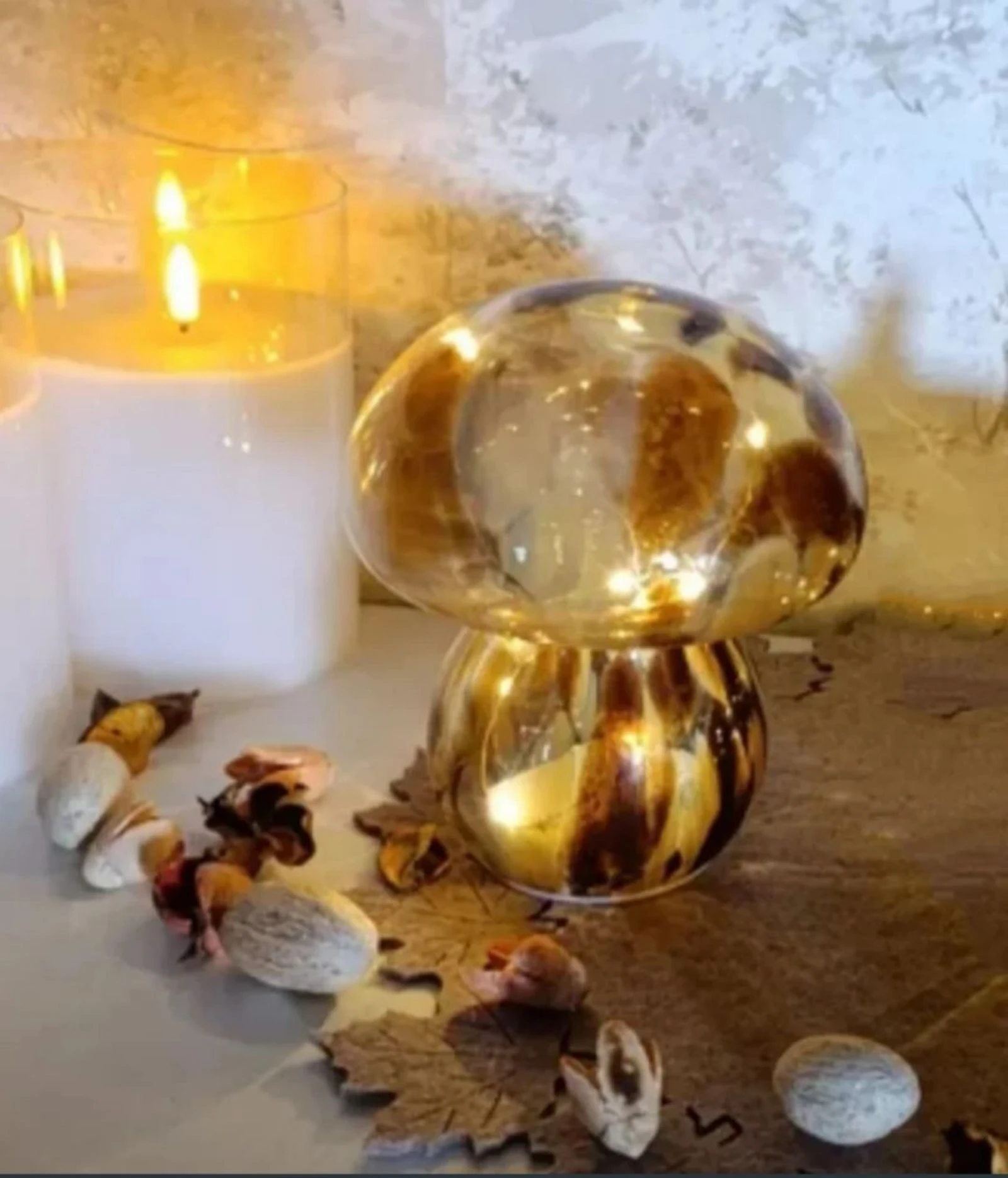 Conjunto seta y calabaza – photo 3
